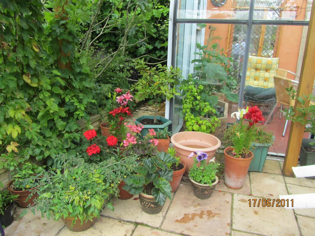 Bed and Breakfast The Old Cider House Nether Stowey Екстер'єр фото
